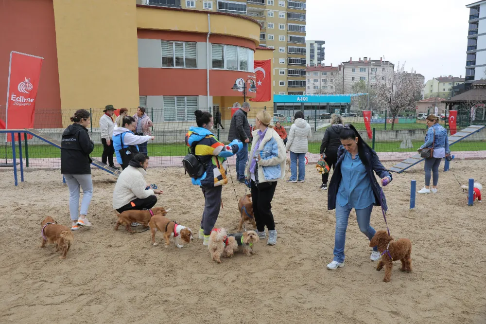 CAN DOSTLARIMIZIN ÖZGÜRCE KOŞUP OYNAYACAĞI; PATİPARK AÇILDI!