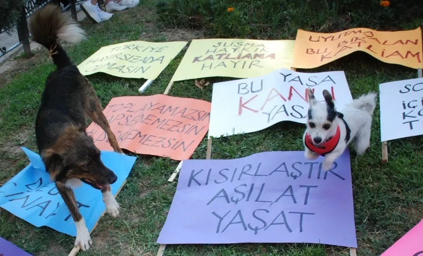 ÖLDÜRME YAŞAT!