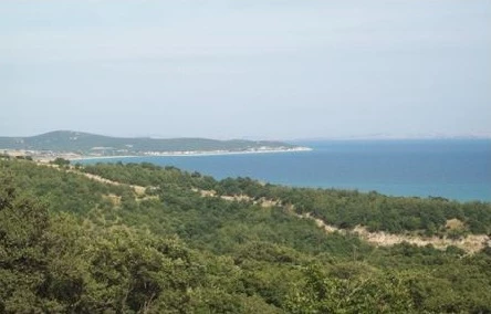 Danişment Orman Kampı Haziran&#8217;da açılacak