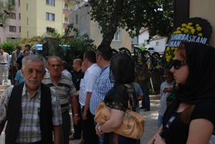 Bulut
