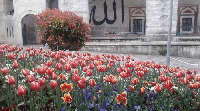 Burası Edirne;Lalezar ama illaki GÜLİSTAN 