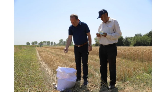 CUMHURİYET ÇİFTLİĞİ’NDE HASAT ZAMANI