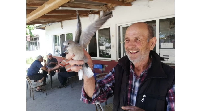 KUMRULAR UÇMA DENEMESİNDE 