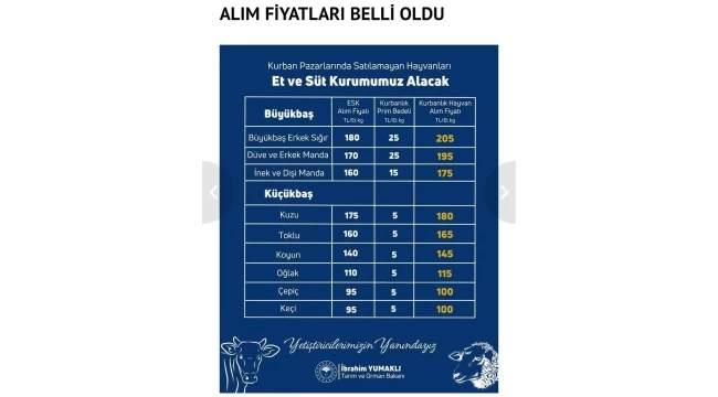 TARIM BAKANLIĞI KURBANDA Kİ HAYVAN PİYASASINI BİLMİYOR