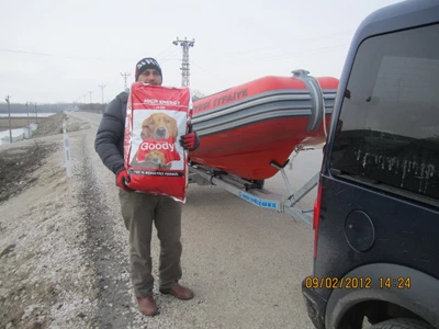 Sokak hayvanlarına belediye el uzattı