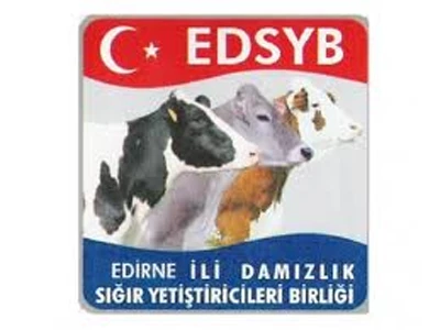 SÜT DESTEKLEMELERİ HESAPLARA YATIRILDI