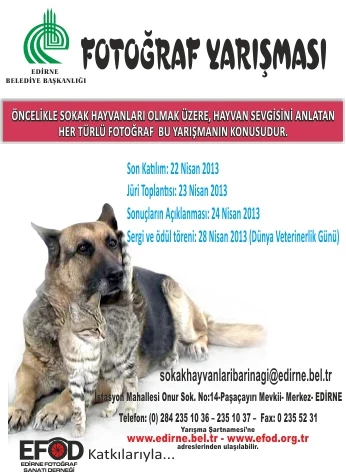 EDİRNE BELEDİYE BAŞKANLIĞI HAYVAN SEVGİSİ KONULU RESİM YARIŞMASI DÜZENLİYOR.