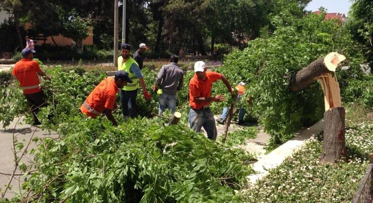 ANİ FIRTINADA KIRILAN AĞAÇLAR YOLLARI KAPADI