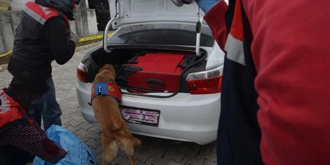 JANDARMAMIZ GÖZ AÇTIRMIYOR