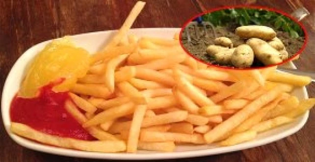 Patatesin Hızla Yükselen Fiyatının Arkasından Stokçular Çıktı